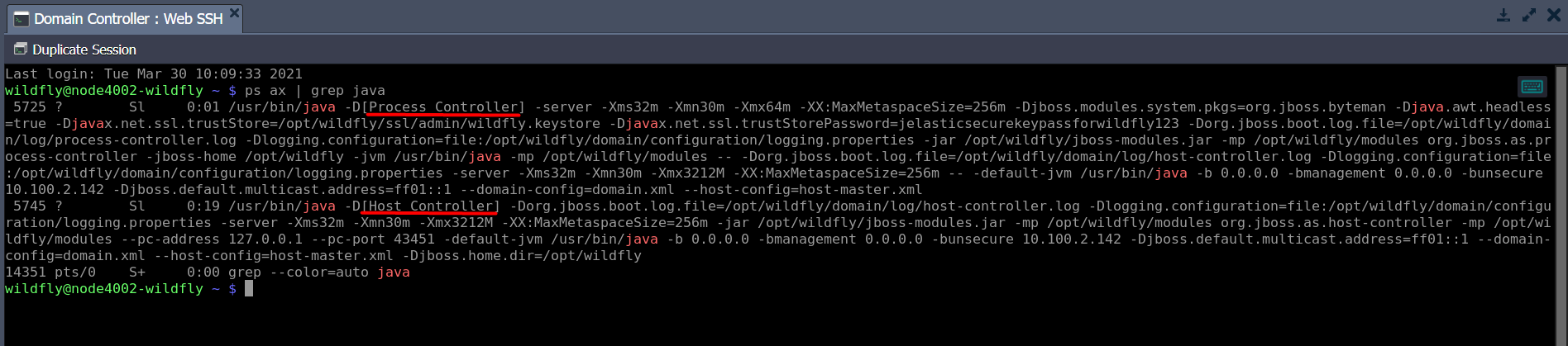 From Standalone to Clusterized: WildFly Auto Scaling in Containers