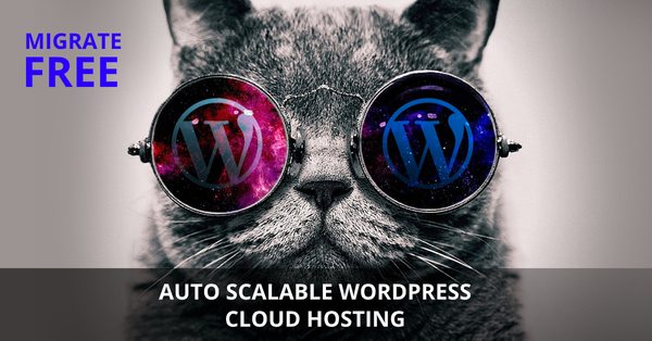 WordPress Free Migration and Auto Scalable Hosting