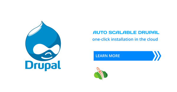 Drupal CMS Auto Scalable Hosting: Installation Guide